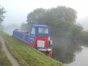 early morning mist 