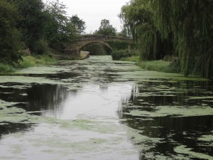 Selby canal