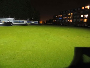 Duckweed mat in basin above Selby Lock