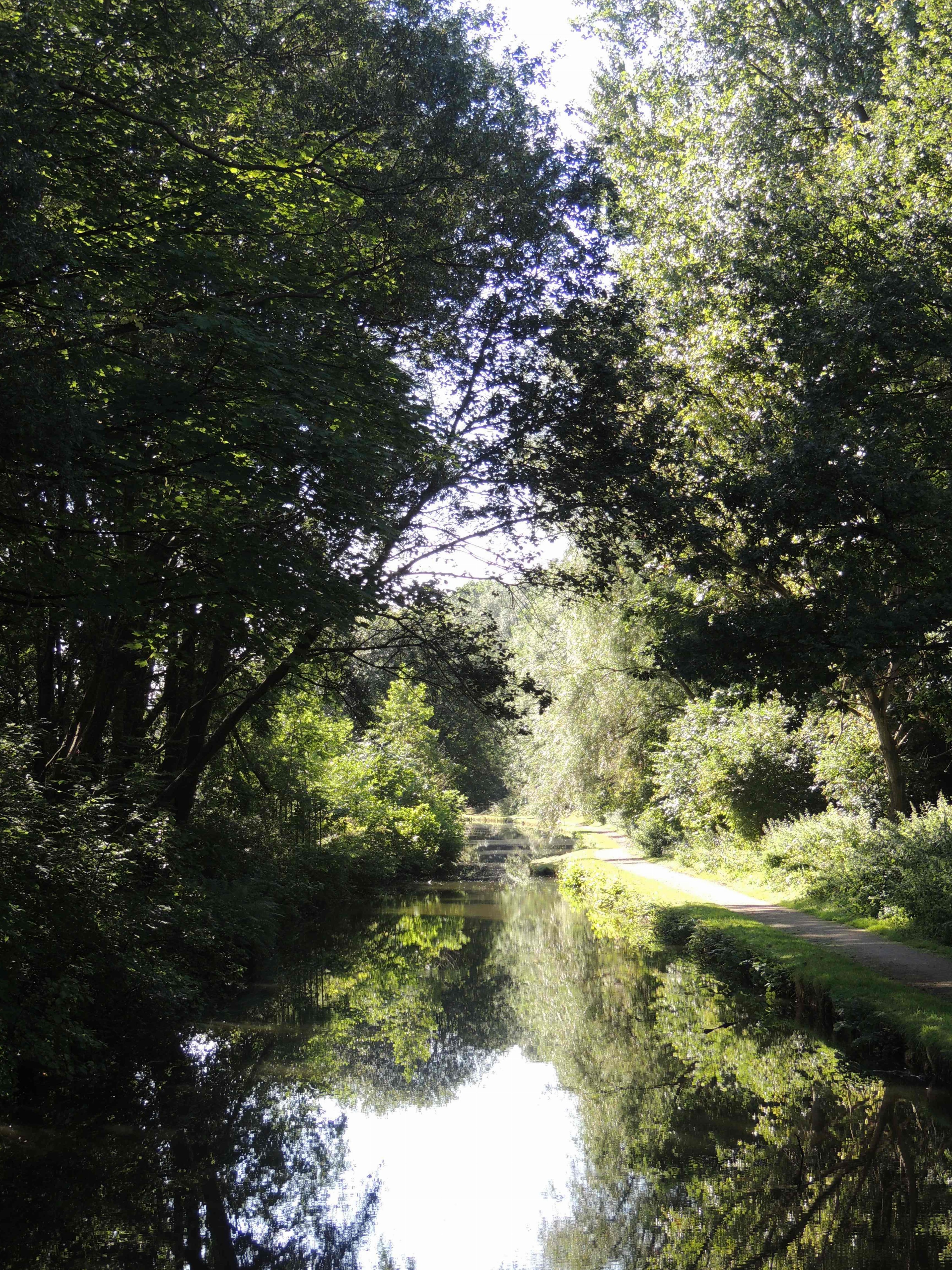 Peak Forest canal, leafy tunnel on a perfect day